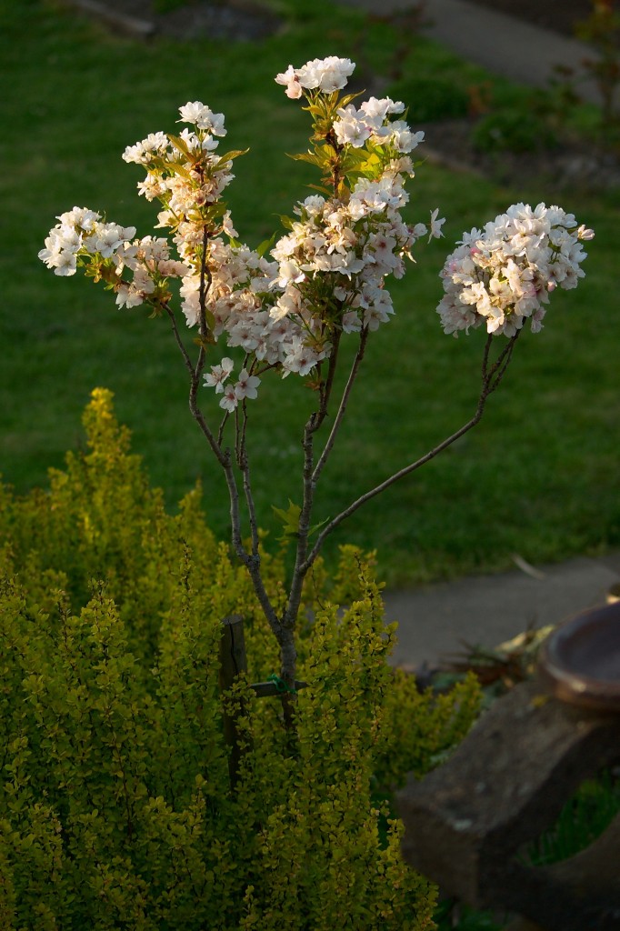 _IGP0546.jpg